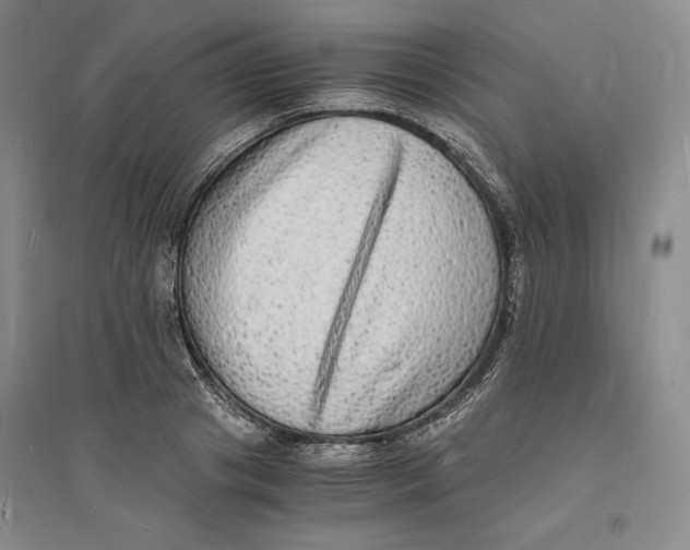 X0000094060841200711091126