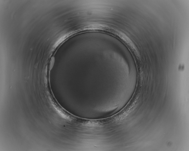 X0000094060842200711091126