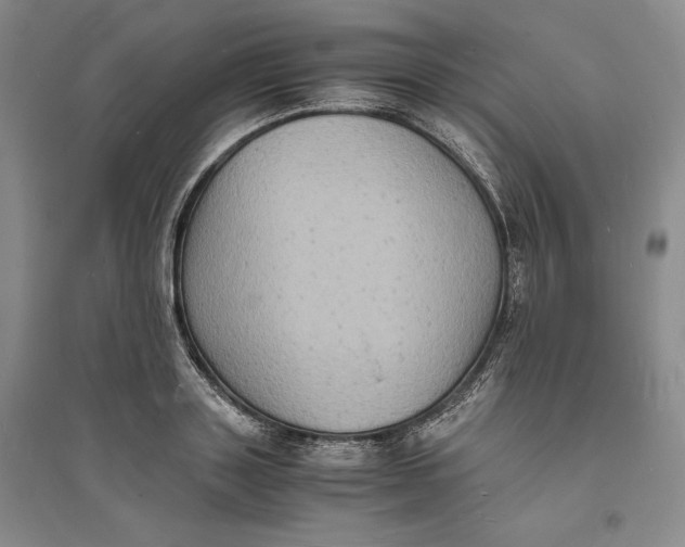 X0000094060843200711091126