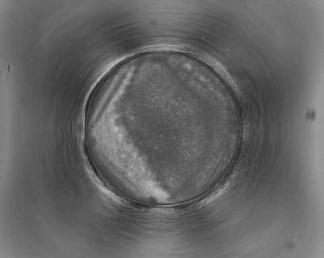 X0000094060844200711091126