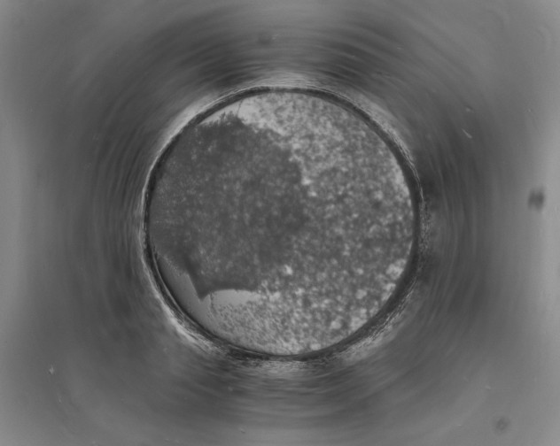 X0000094060845200711091126