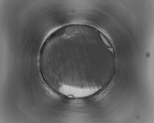 X0000094060846200711091126