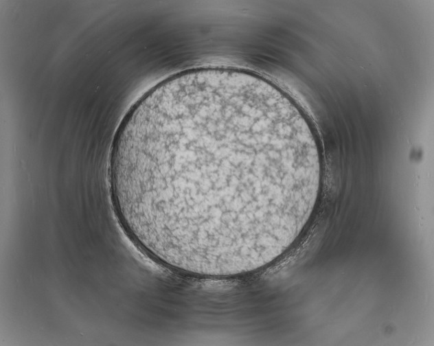 X0000094060847200711091126