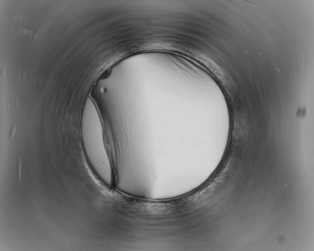 X0000094060849200711091126