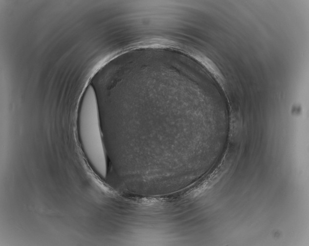 X0000094060850200711091126