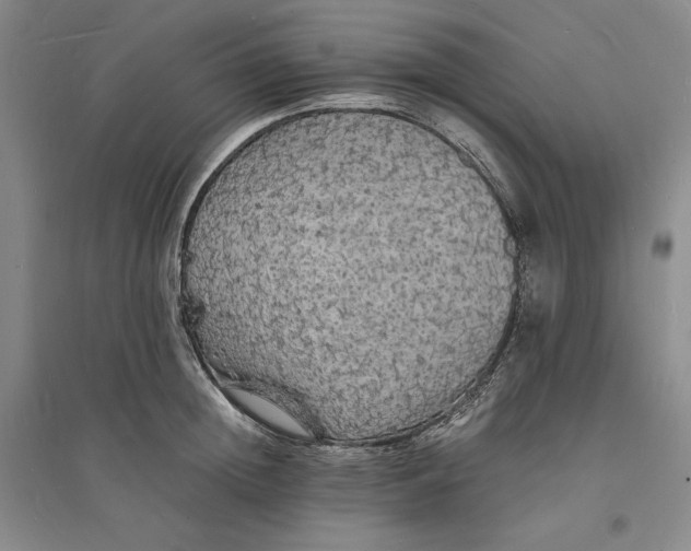 X0000094060852200711091126