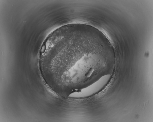 X0000094060854200711091126