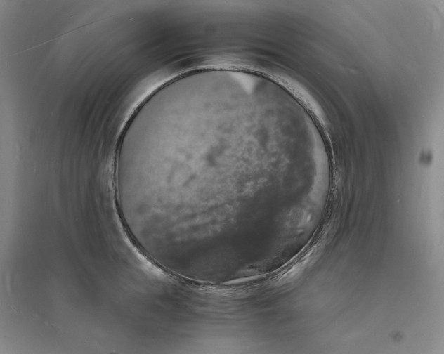 X0000094060855200711091126