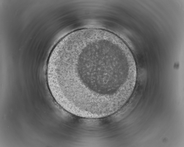 X0000094060856200711091126