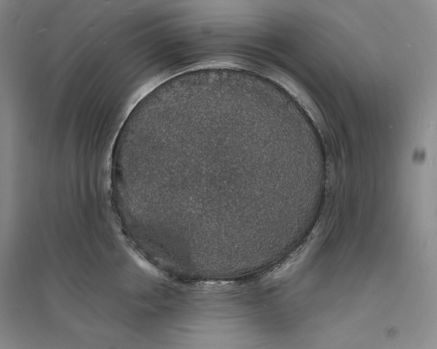 X0000094060858200711091126
