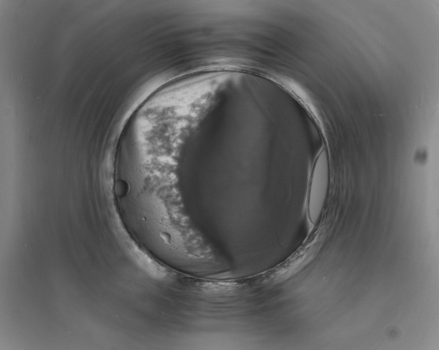 X0000094060859200711091126
