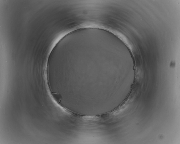 X0000094060863200711091126