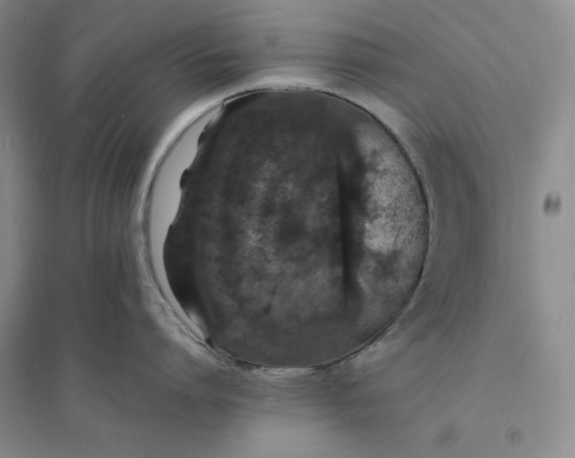 X0000094060864200711091126