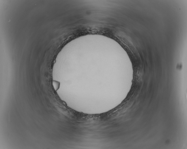 X0000094060865200711091126