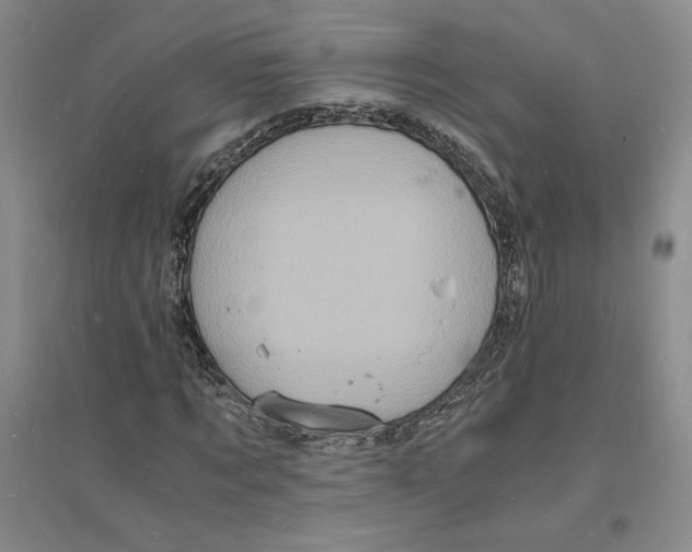 X0000094060869200711091126