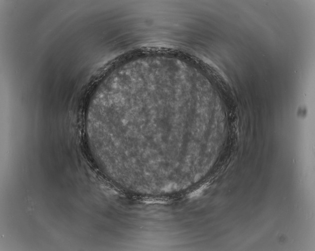 X0000094060870200711091126