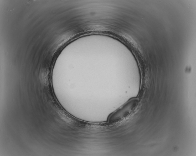 X0000094060873200711091125