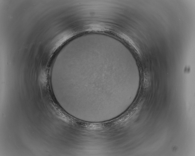 X0000094060874200711091125