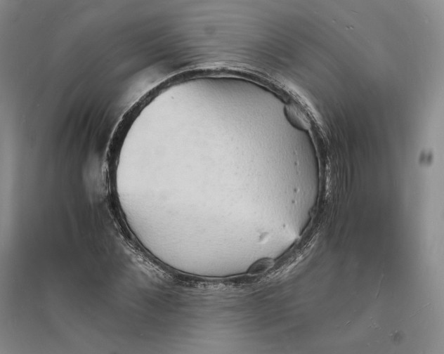 X0000094060876200711091125