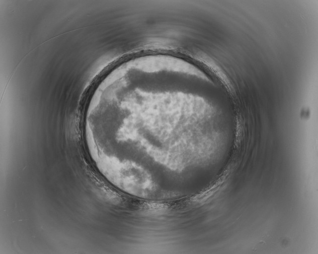 X0000094060878200711091125