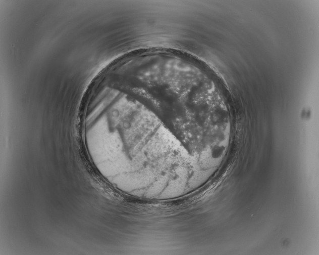 X0000094060879200711091125