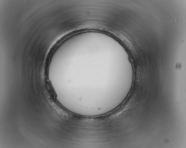 X0000094060880200711091125