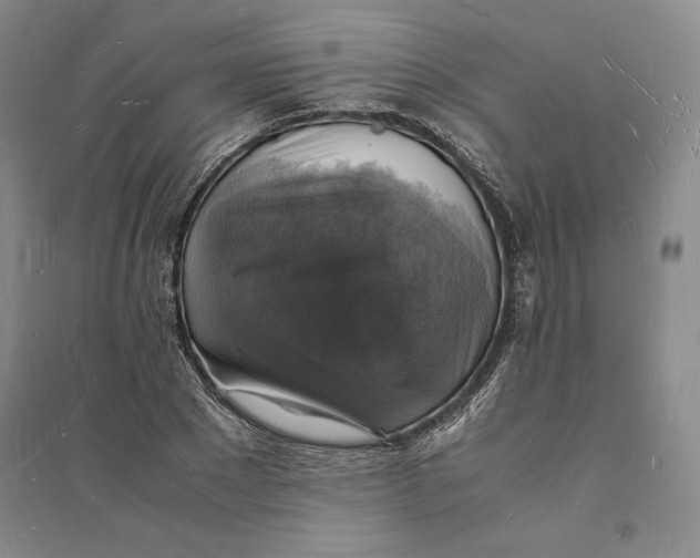 X0000094060881200711091125