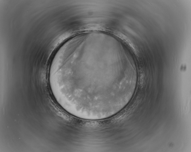 X0000094060882200711091125