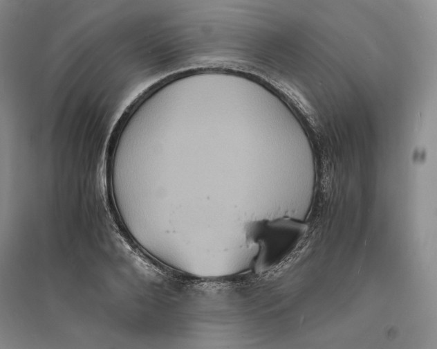 X0000094060888200711091125