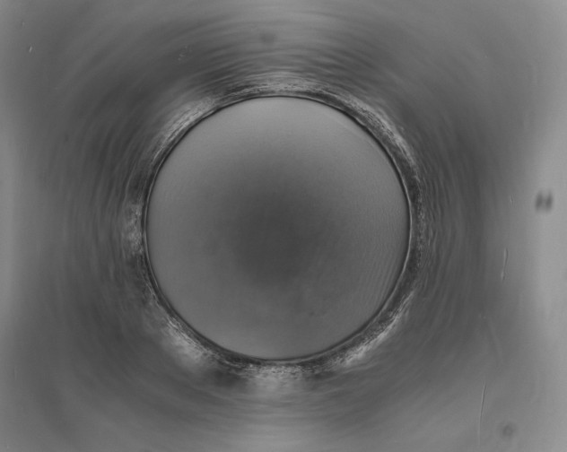 X0000094060889200711091125