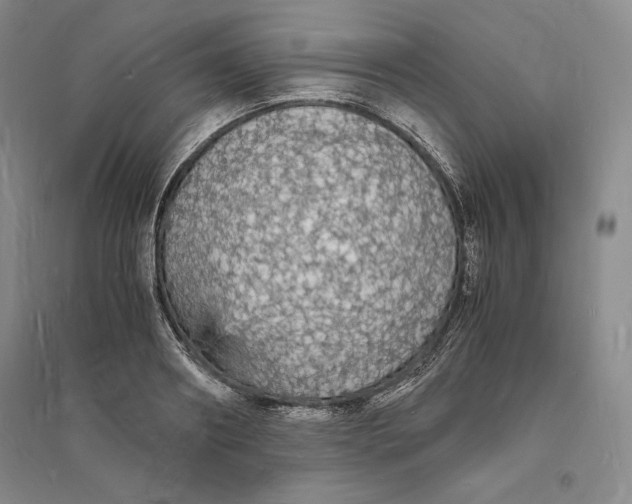 X0000094060890200711091125