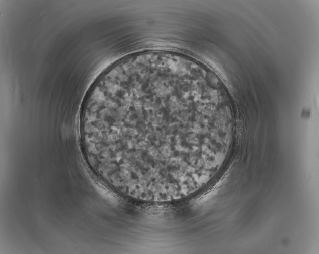 X0000094060891200711091125