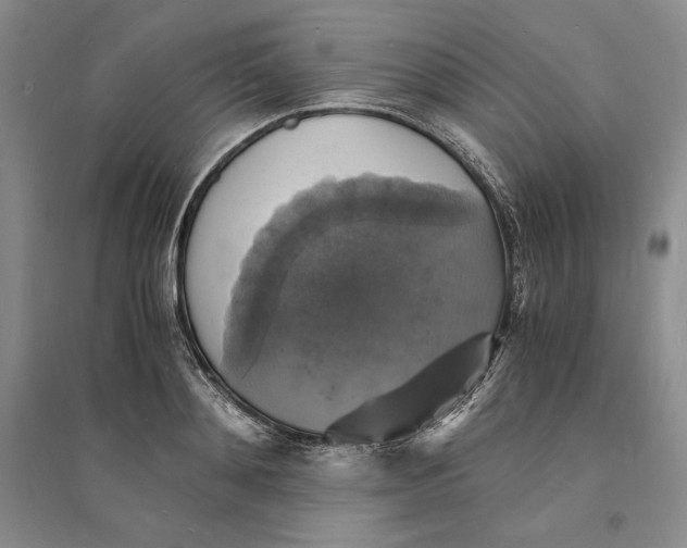 X0000094060892200711091125