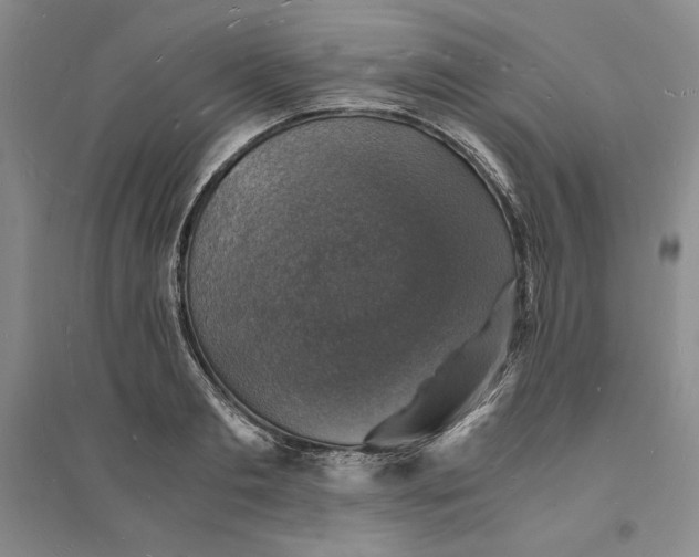 X0000094060893200711091125