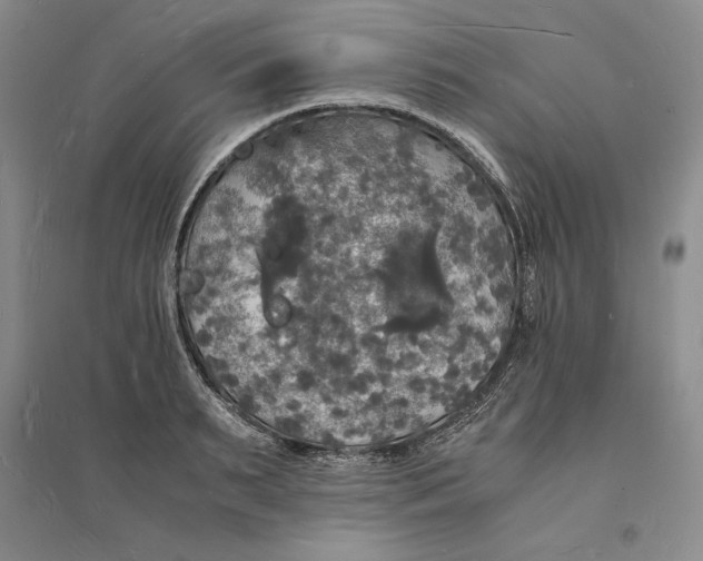 X0000094060895200711091125