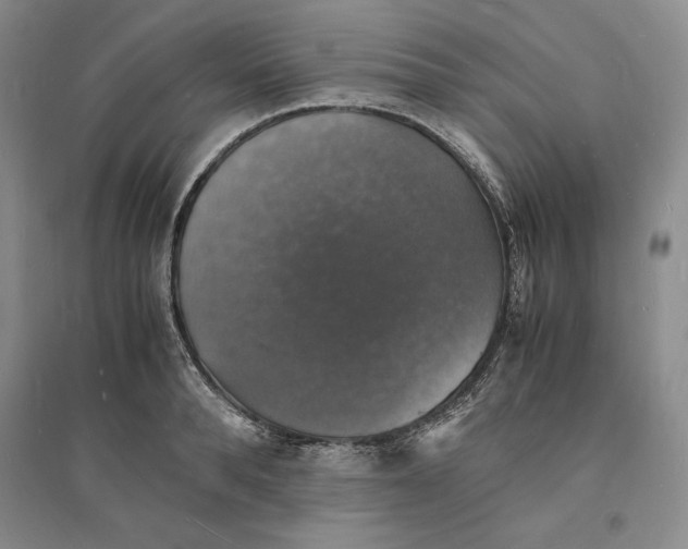 X0000094060896200711091125