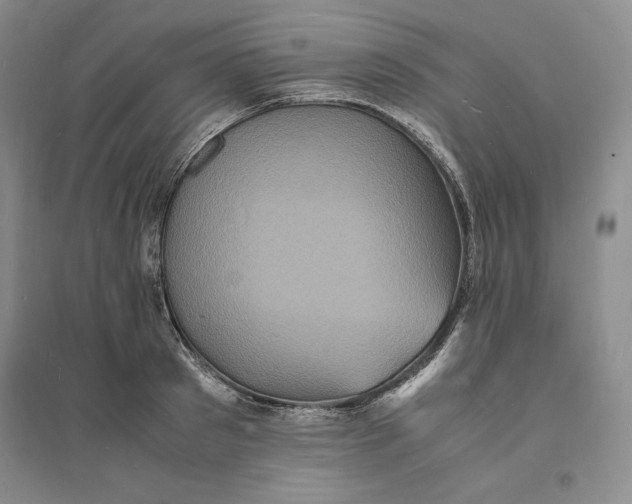X0000094060897200711091125