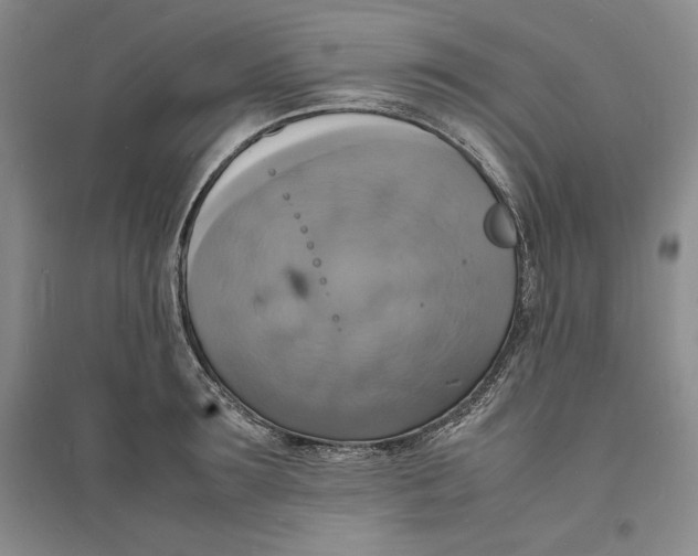 X0000094060899200711091125