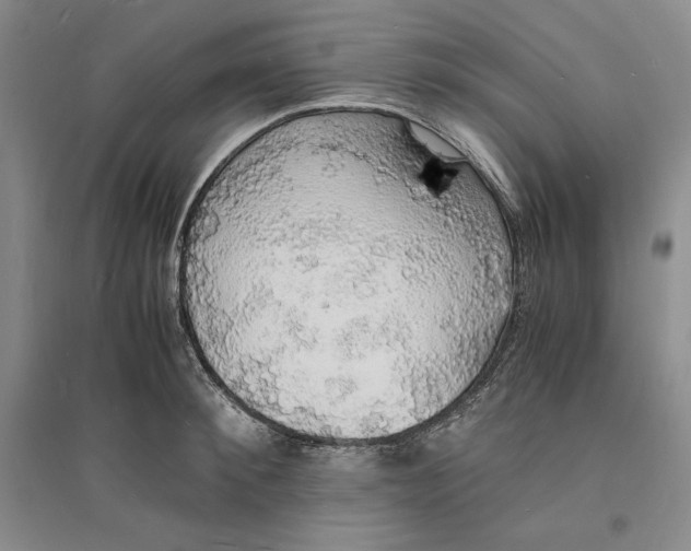 X0000094060900200711091125