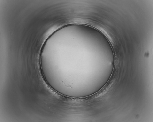 X0000094060901200711091125