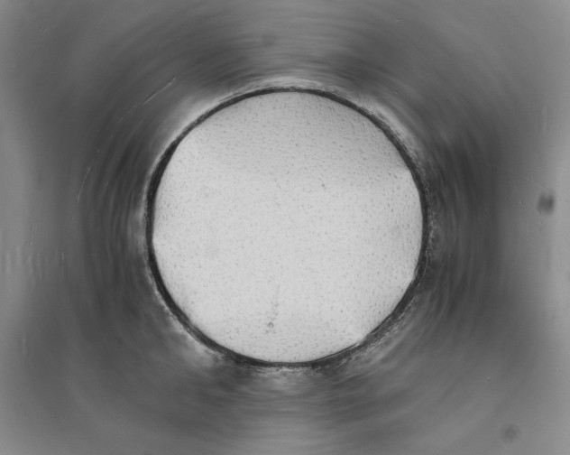 X0000094060902200711091125