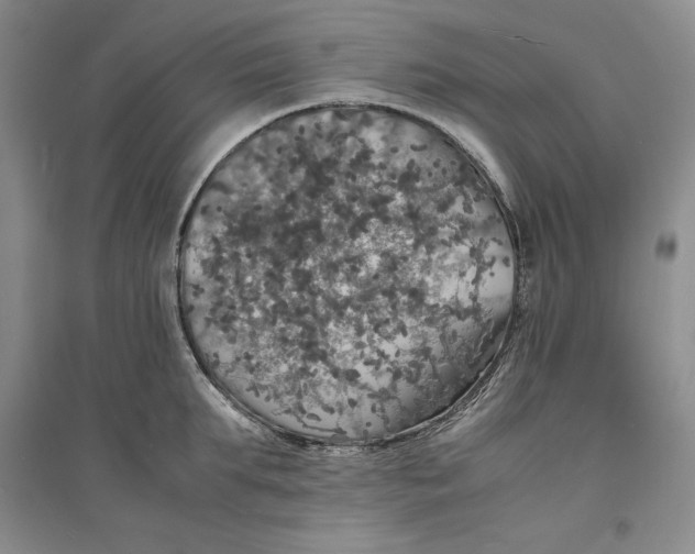 X0000094060903200711091125