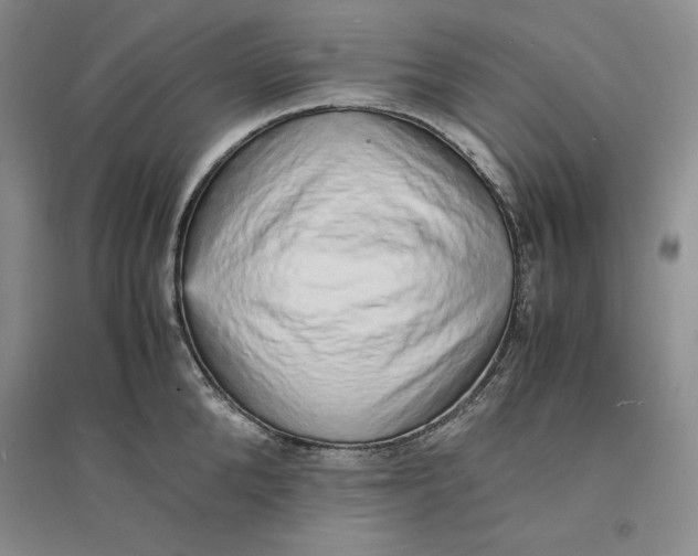 X0000094060904200711091125
