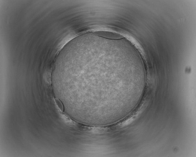 X0000094060905200711091125