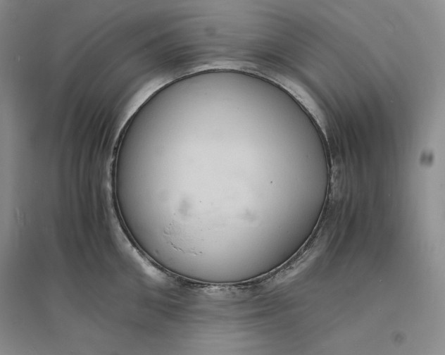 X0000094060906200711091125