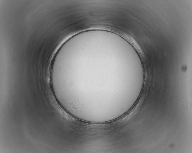 X0000094060908200711091125