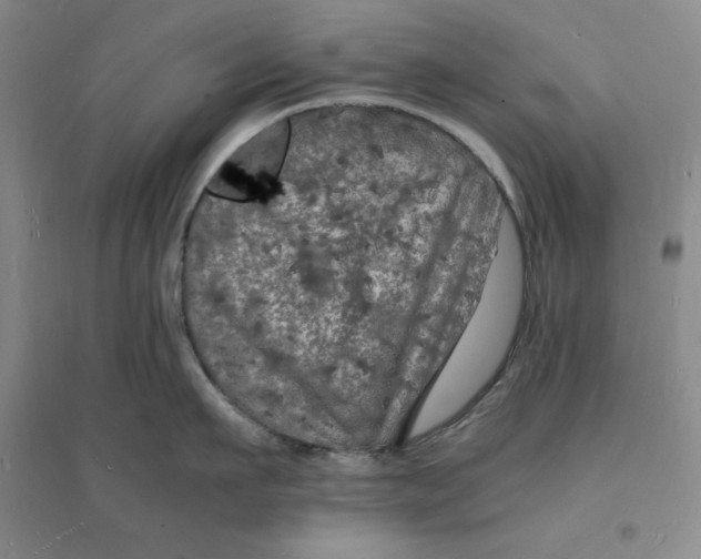 X0000094060911200711091125