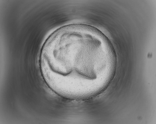 X0000094060912200711091125