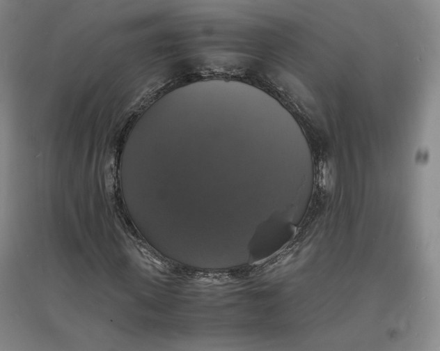 X0000094060915200711091124