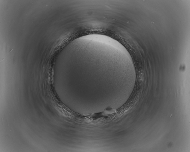 X0000094060916200711091124